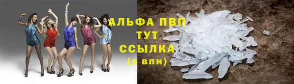 ПСИЛОЦИБИНОВЫЕ ГРИБЫ Баксан
