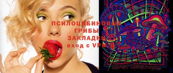 ПСИЛОЦИБИНОВЫЕ ГРИБЫ Баксан