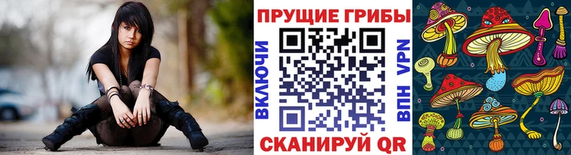 где купить наркотик  Пересвет  Галлюциногенные грибы мицелий 