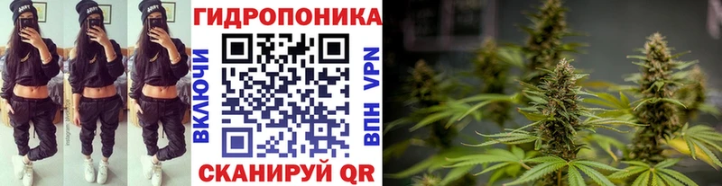 Марихуана Amnesia Пересвет